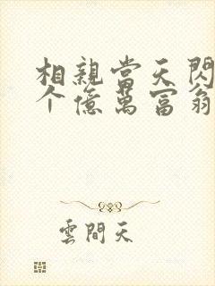 相亲当天闪婚了个亿万富翁