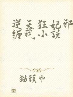 逆天狂妃邪王别缠我小说封面