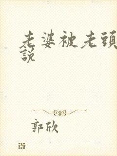 老婆被老头操小说