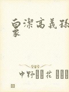 白洁高义孙倩大象封面