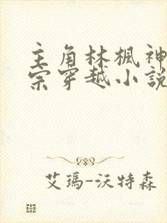主角林枫神霄剑宗穿越小说免费阅读