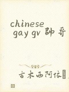 chinese gay gv 帅哥