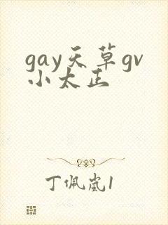 gay天草gv小太正