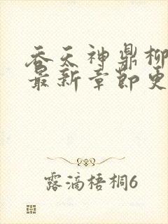 吞天神鼎柳无邪最新章节更新