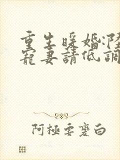 重生暖婚:陆少宠妻请低调