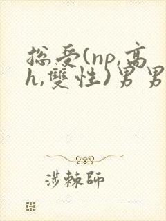 总受(np,高h,双性)男男