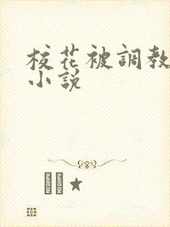 校花被调教高h小说封面