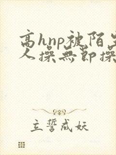 高hnp被陌生人操无节操小说