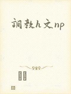 调教h文np