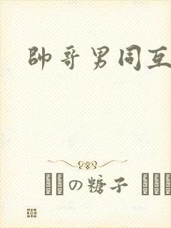 帅哥男同互操