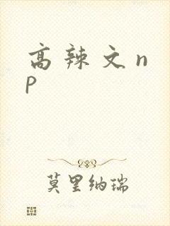 高 辣 文 np封面