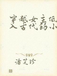 穿越女主低调融入古代的小说