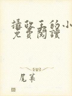 摄政王的小宠妃免费阅读