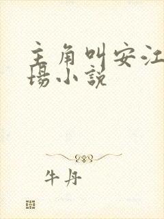 主角叫安江的官场小说