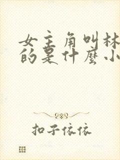 女主角叫林知夏的是什么小说