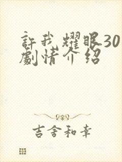 许我耀眼30集剧情介绍