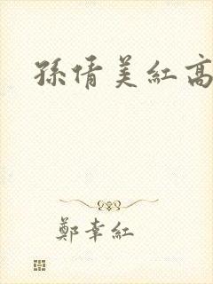 孙倩美红高义
