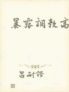 暴露调教高h文封面