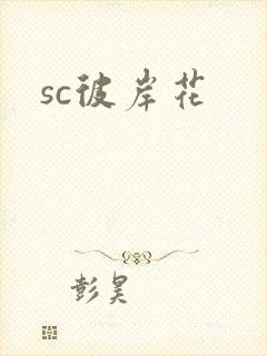 sc彼岸花封面
