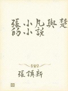 张小凡与楚清璇的小说
