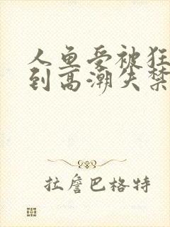 人鱼受被狂c躁到高潮失禁小说