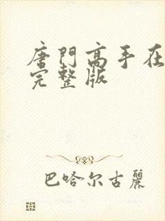 唐门高手在异世完整版封面