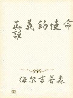 正义的使命 小说