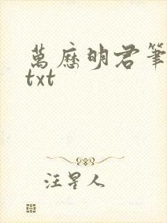 万历明君笔趣阁txt封面