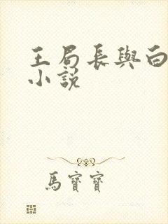 王局长与白浩的小说