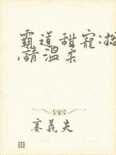 霸道甜宠:总裁,请温柔