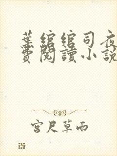 叶绾绾司夜寒免费阅读小说封面