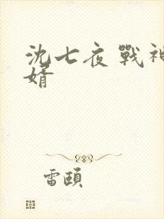 沈七夜 战神狂婿