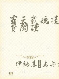 霸天武魂凌霄免费阅读