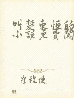 叫楚东恒的官场小说免费阅读