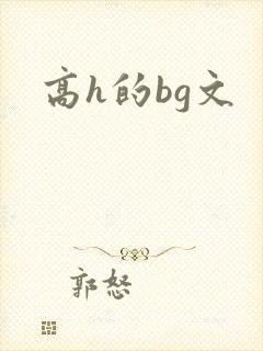 高h的bg文
