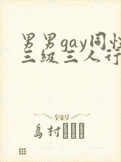 男男gay同性三级三人行封面