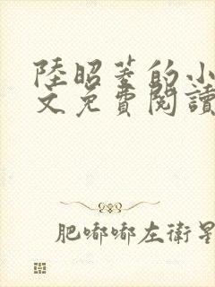 陆昭菱的小说全文免费阅读