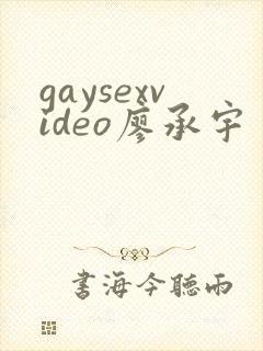 gaysexvideo廖承宇