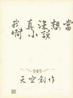 我真没想当反派啊 小说