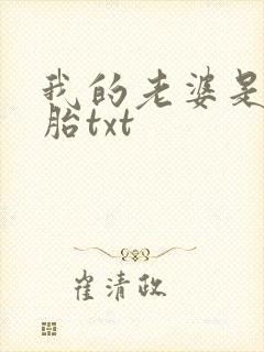 我的老婆是双胞胎txt