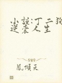 小说:丁二狗的逆袭人生