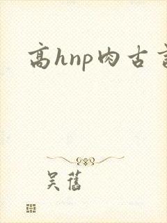 高hnp肉古言