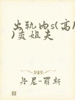 出轨内s(高h)爽姐夫
