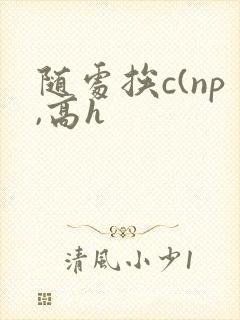 随处挨c(np,高h封面