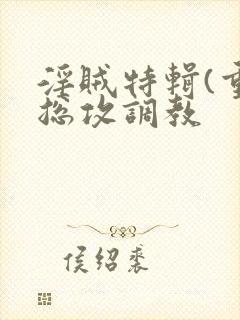 淫贼特辑(重口总攻调教