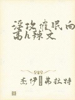 淫攻催眠向np高h辣文