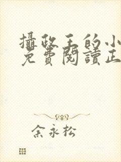 摄政王的小闲妻免费阅读正版