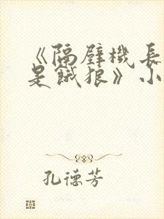 《隔壁机长大叔是饿狼》小说