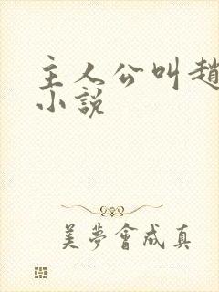 主人公叫赵明的小说