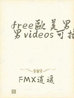 free欧美男男videos可播放